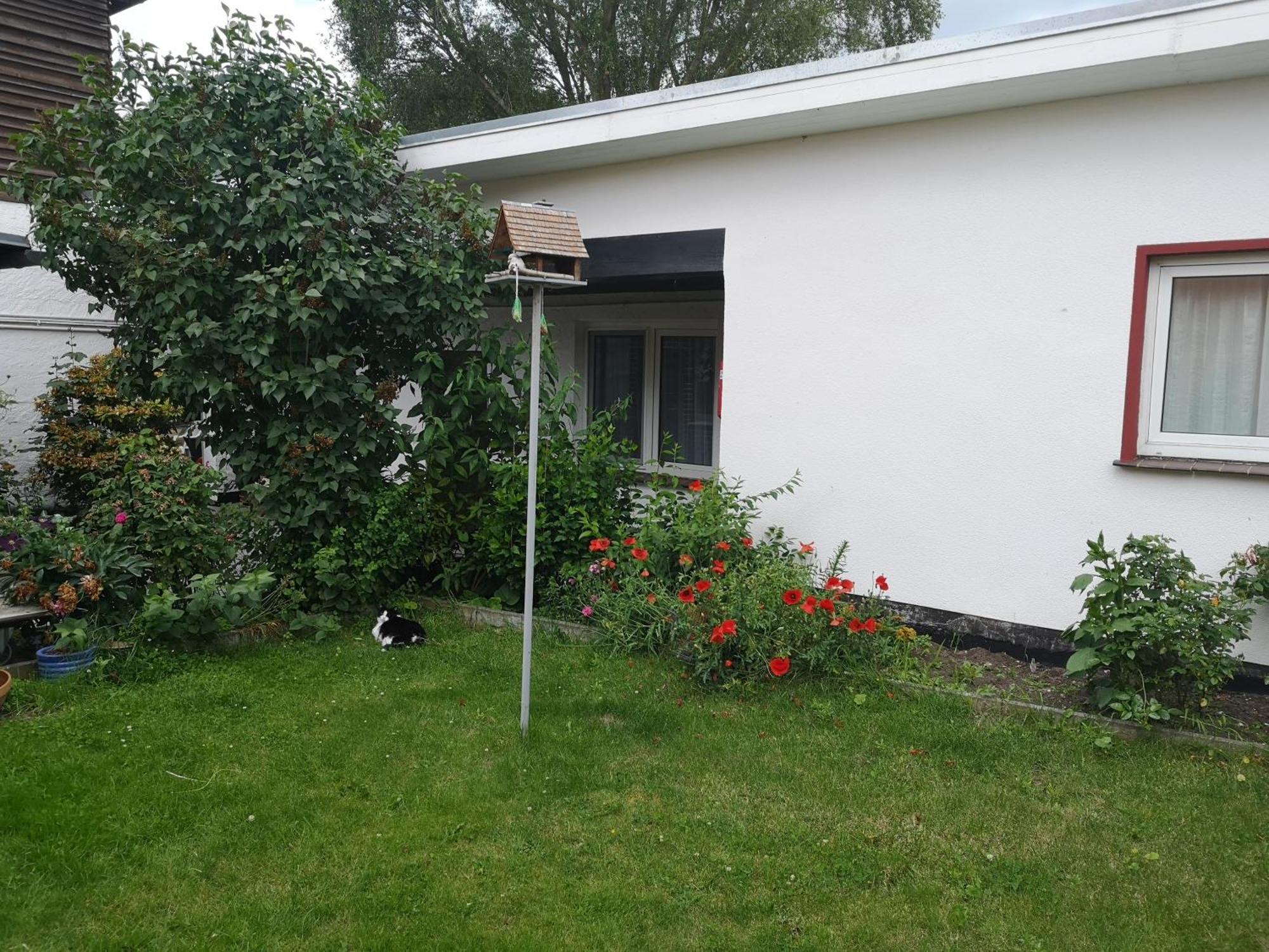 Uschi's Gasthof Neuendorf  Buitenkant foto